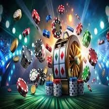 bet11 বেটিং গাইডে ক্রীড়া বিভাগ বুঝে নেওয়ার দৃশ্য